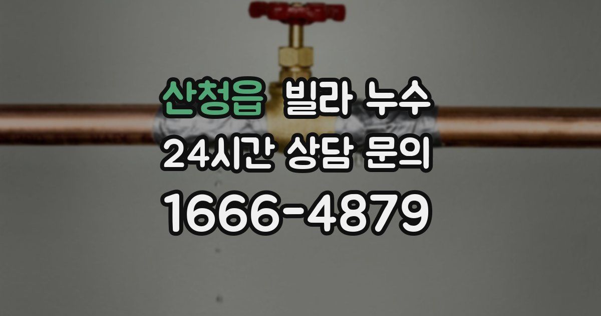 산청읍 빌라 누수