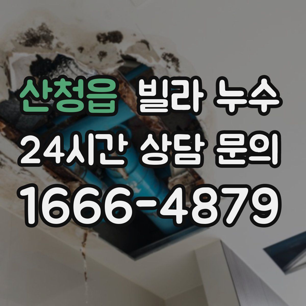 산청읍 빌라 누수