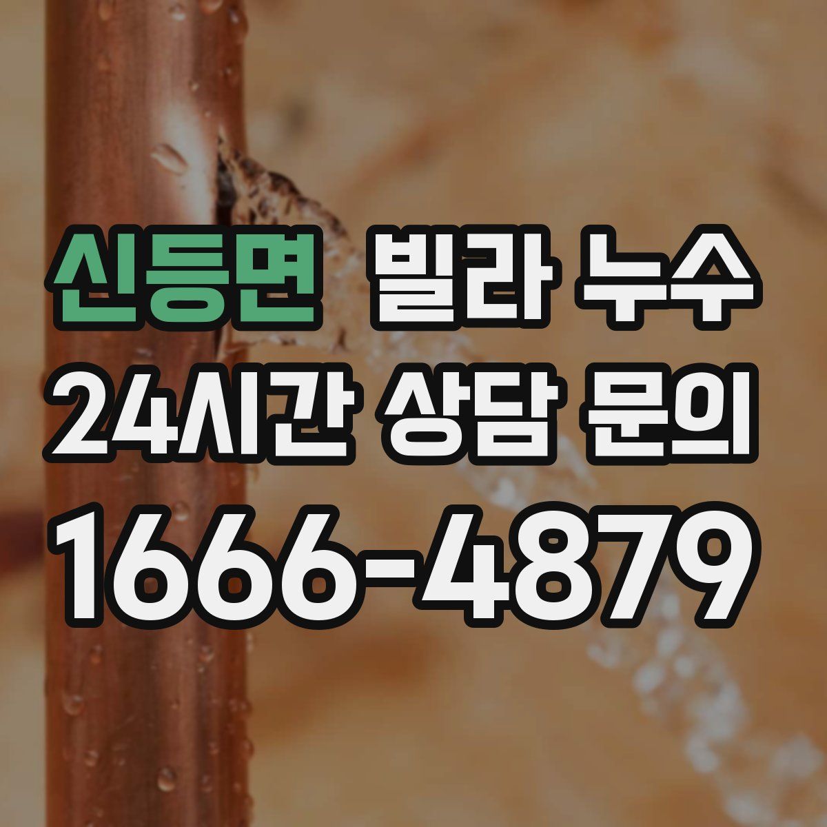 신등면 빌라 누수