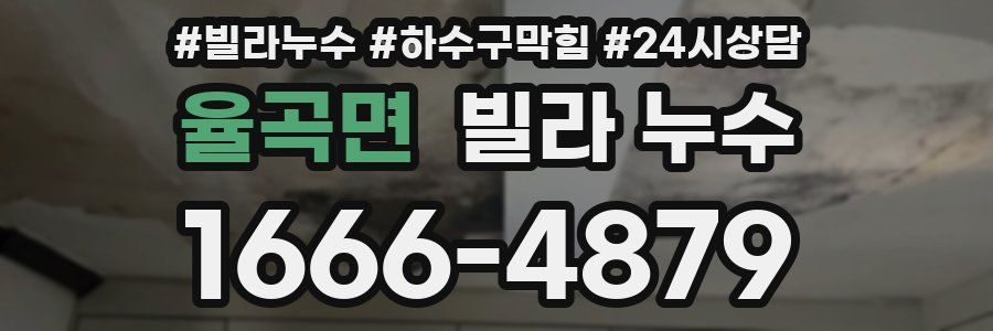 율곡면 빌라 누수