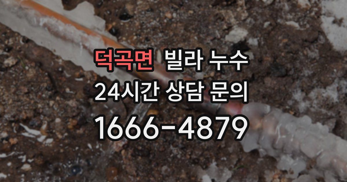 덕곡면 빌라 누수