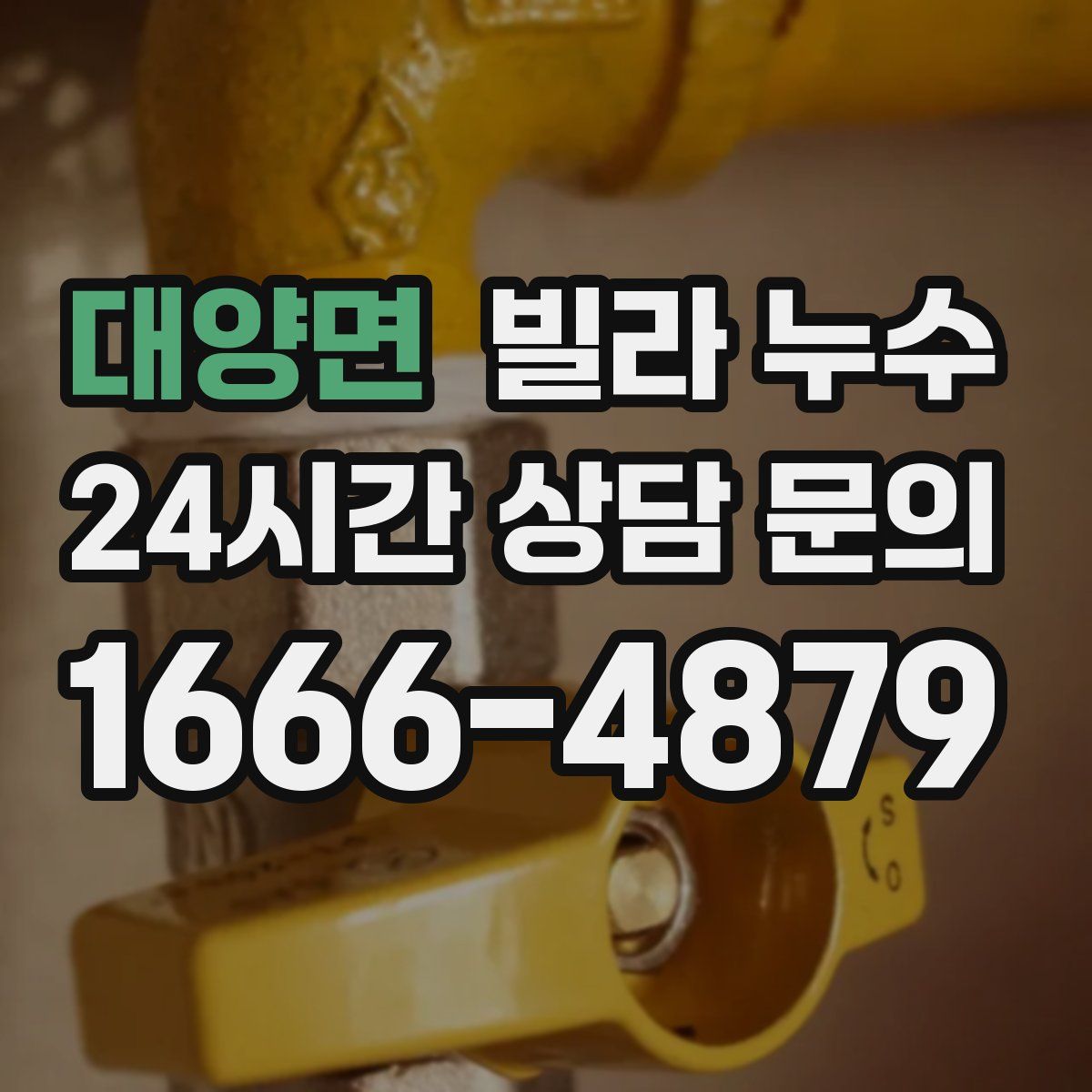 대양면 빌라 누수