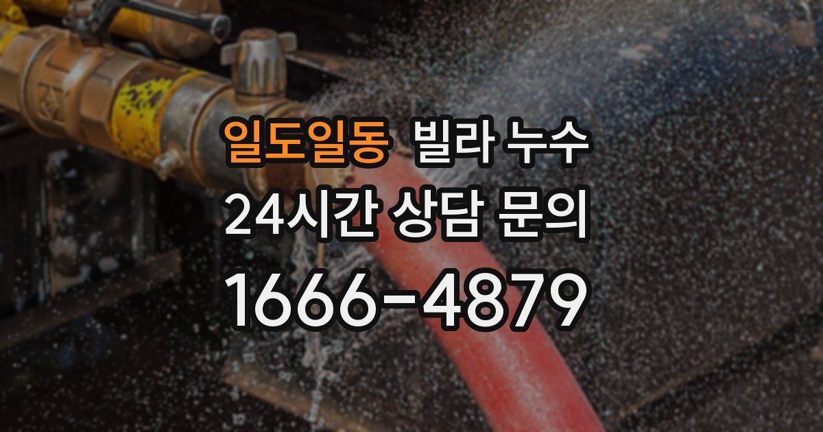 일도일동 빌라 누수