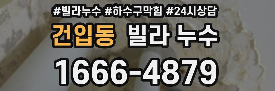 건입동 빌라 누수