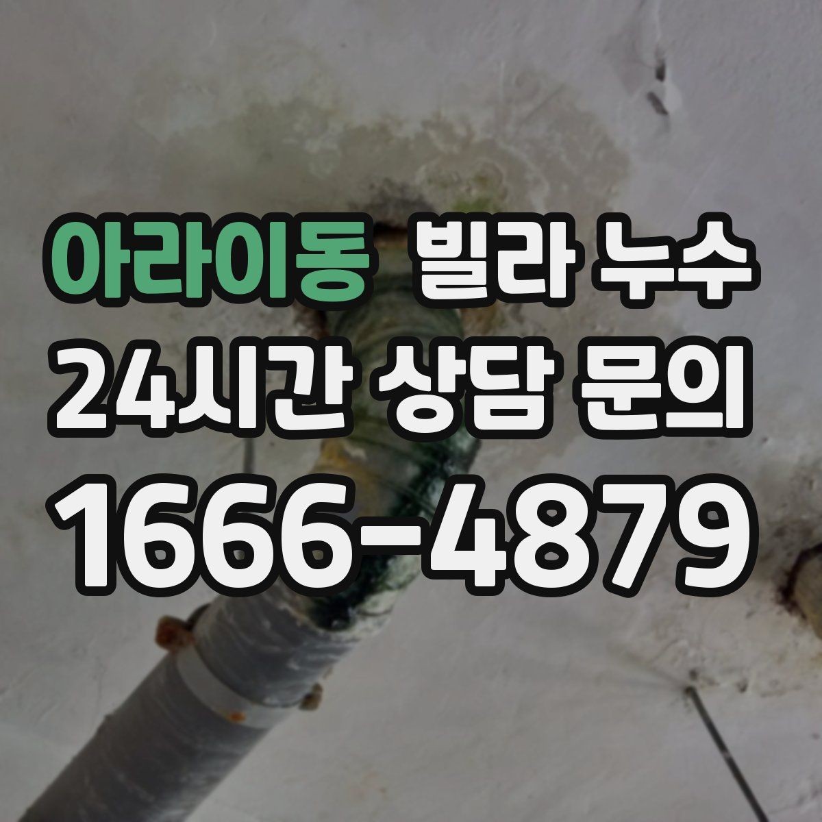 아라이동 빌라 누수 외벽 페인트 균열이 보이면 점검이 필요합니다