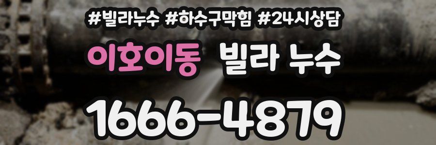 이호이동 빌라 누수