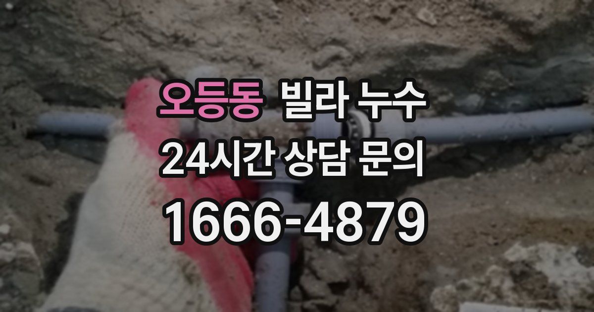 오등동 빌라 누수
