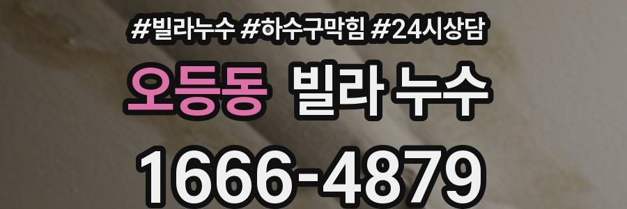 오등동 빌라 누수