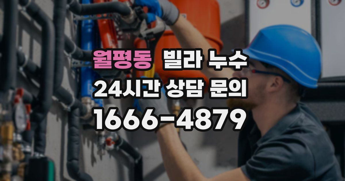 월평동 빌라 누수