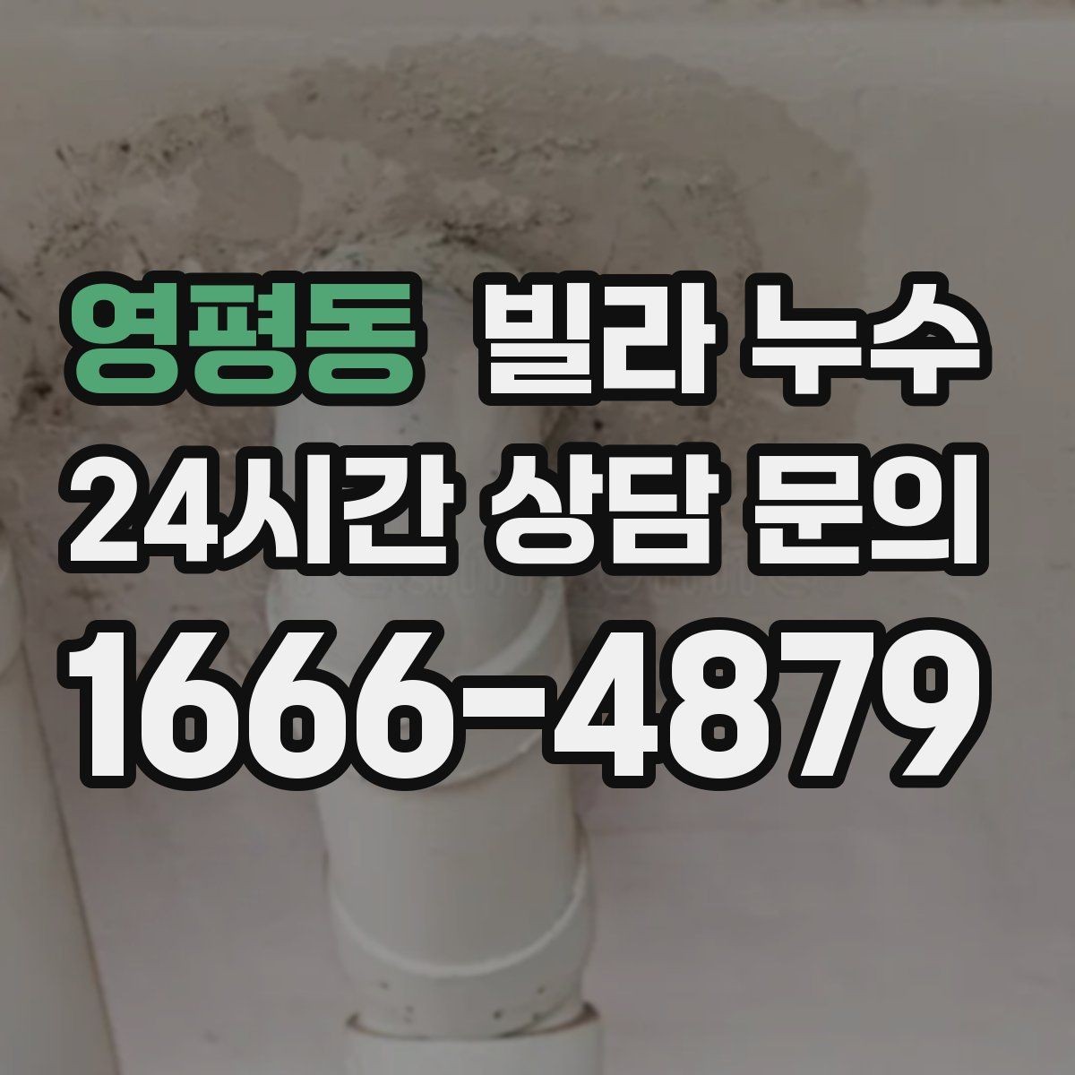 영평동 빌라 누수 욕실 벽 타일 사이 물스밈이 늘었다면