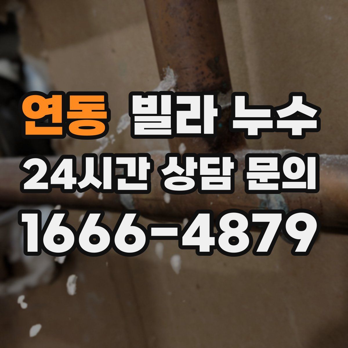 연동 빌라 누수