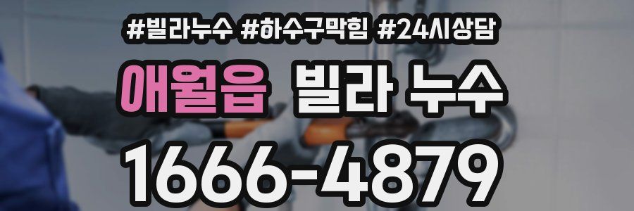 애월읍 빌라 누수