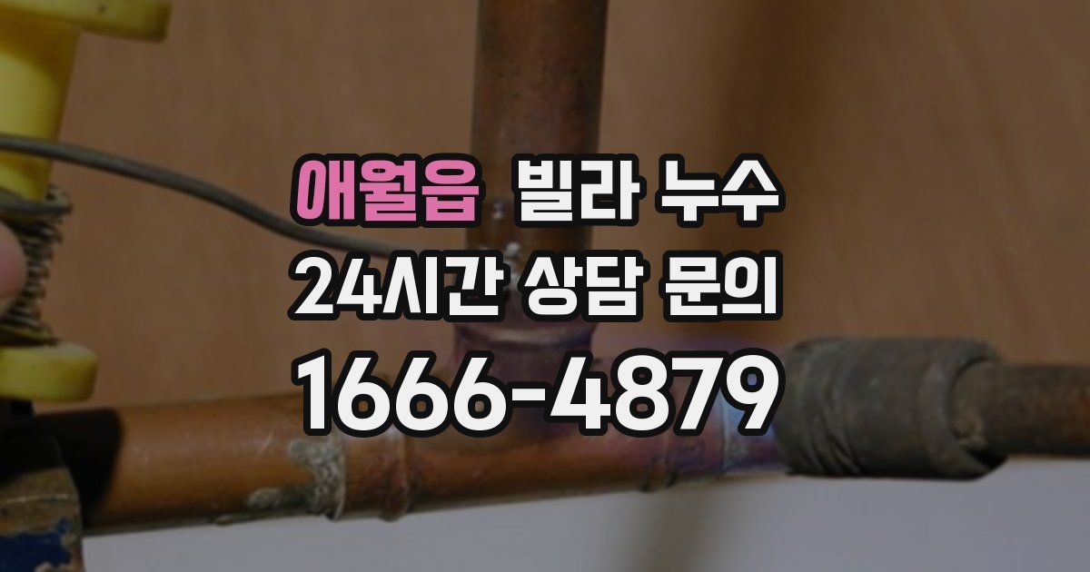 애월읍 빌라 누수