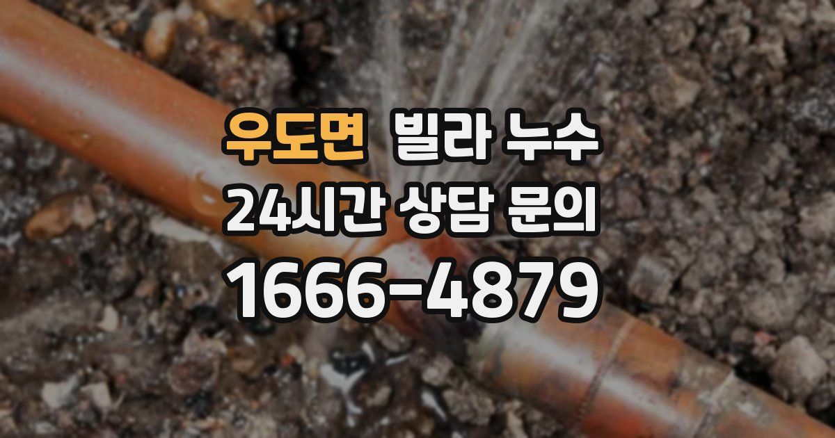 우도면 빌라 누수