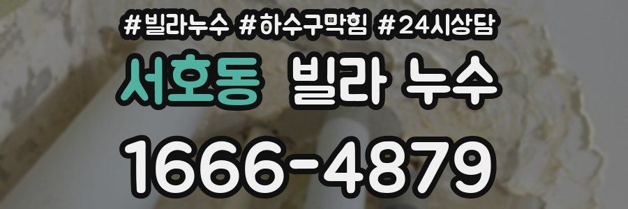 서호동 빌라 누수