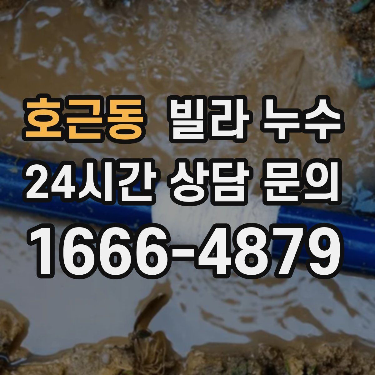 호근동 빌라 누수 재발 없이 해결하려면 점검 순서가 중요합니다