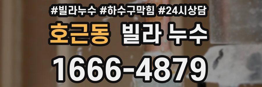 호근동 빌라 누수