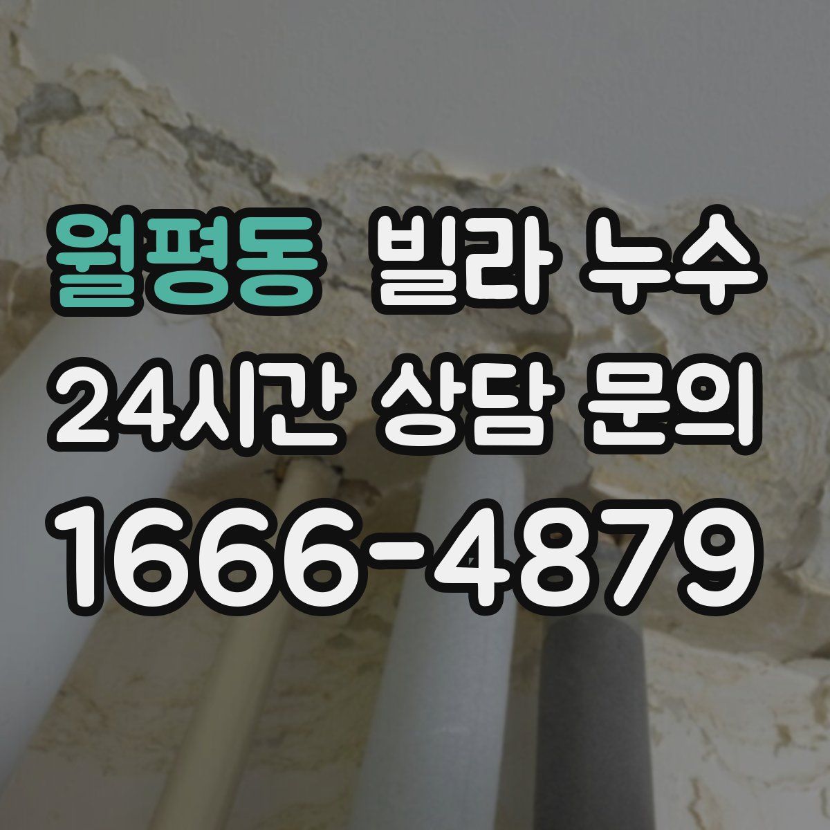 월평동 빌라 누수