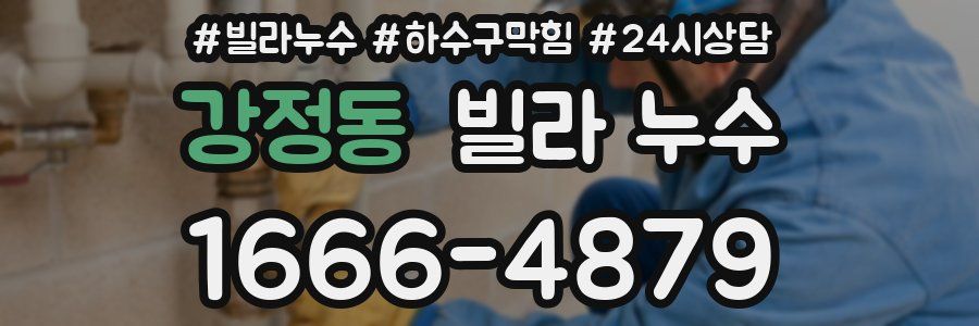 강정동 빌라 누수