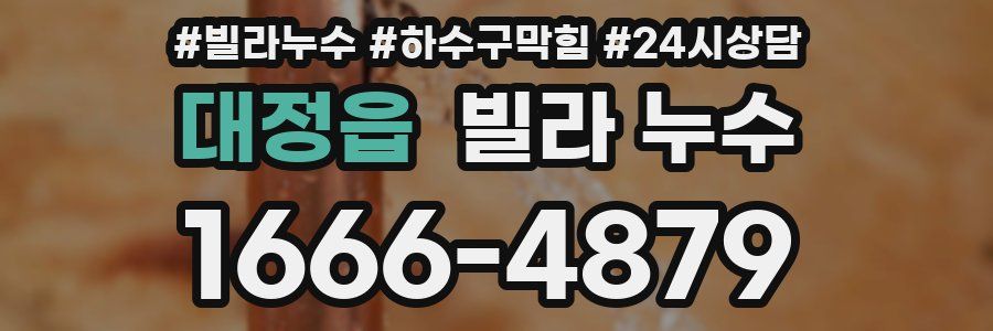 대정읍 빌라 누수