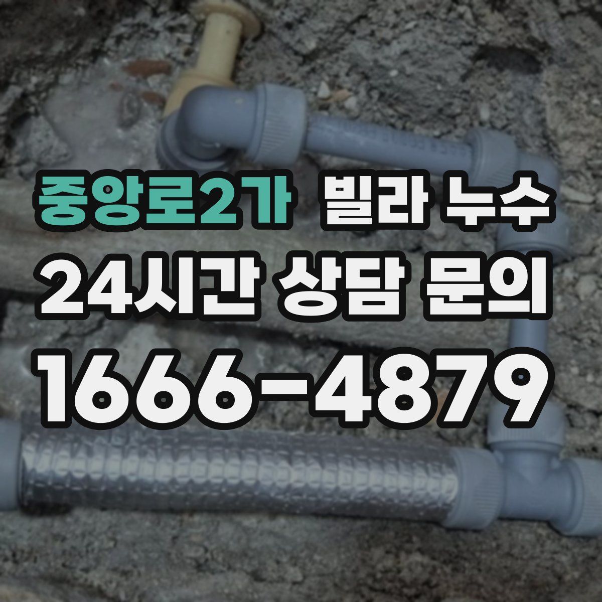 중앙로2가 빌라 누수