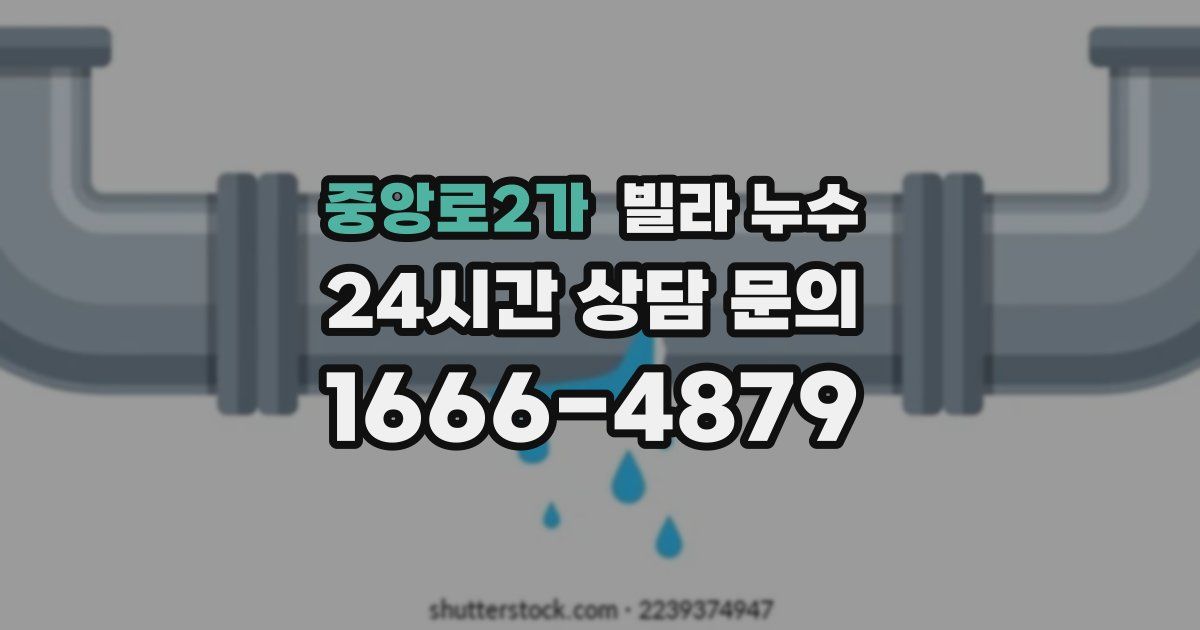 중앙로2가 빌라 누수