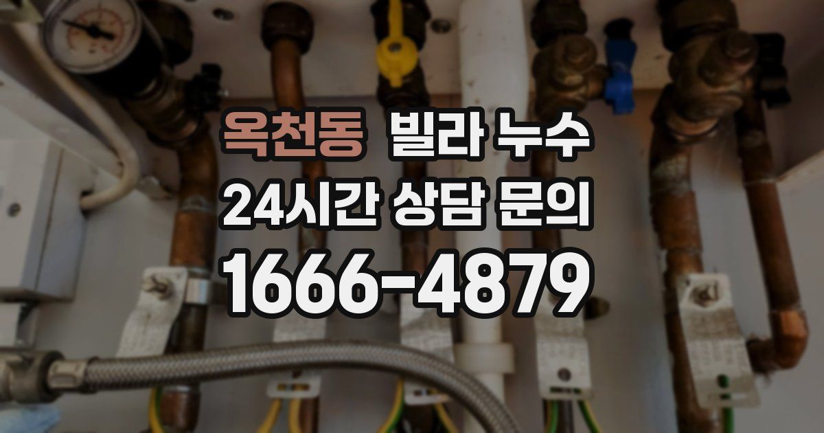 옥천동 빌라 누수