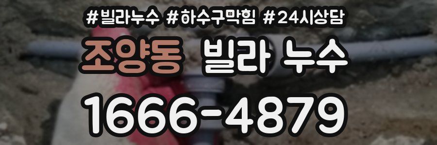 조양동 빌라 누수