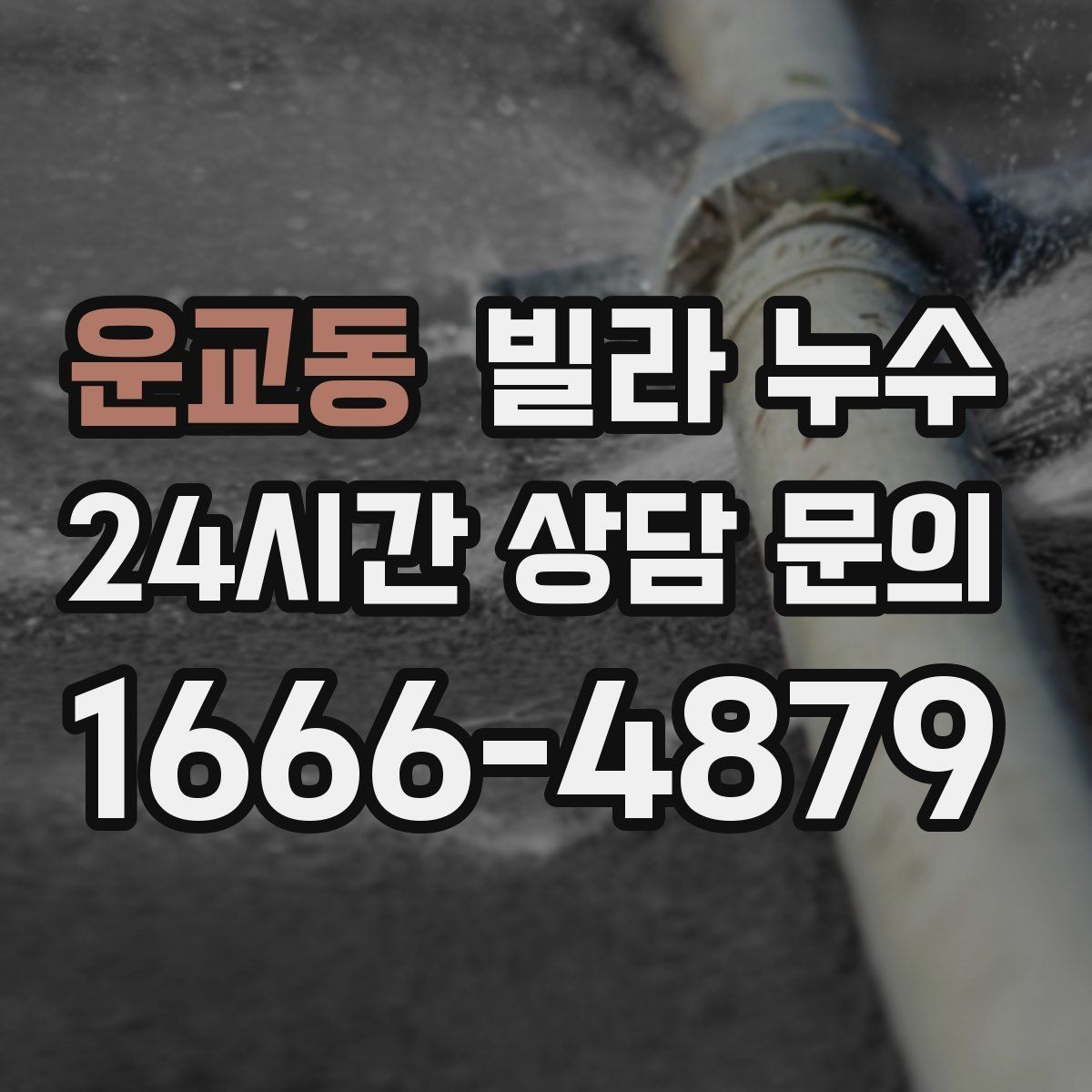 운교동 빌라 누수 폭우 후 벽이 젖는다면 방수 문제일 수 있어요