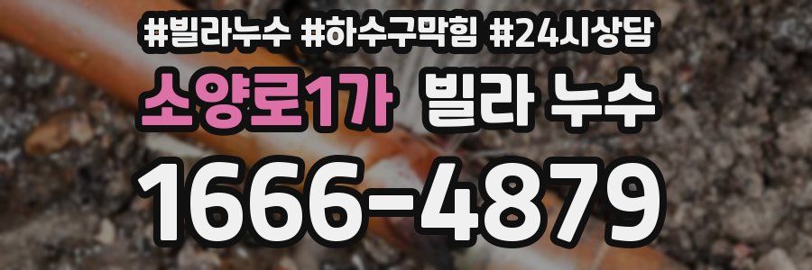 소양로1가 빌라 누수