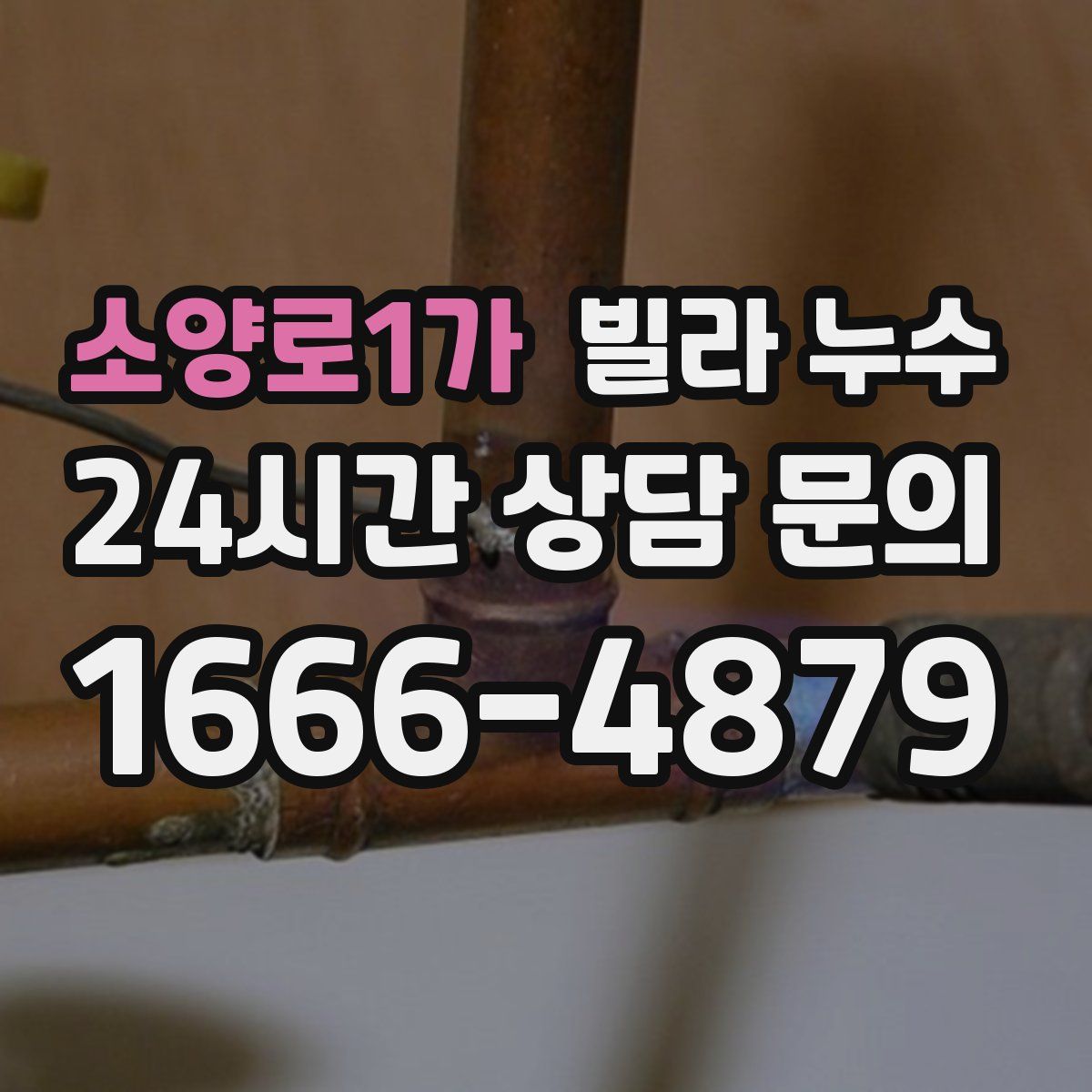 소양로1가 빌라 누수