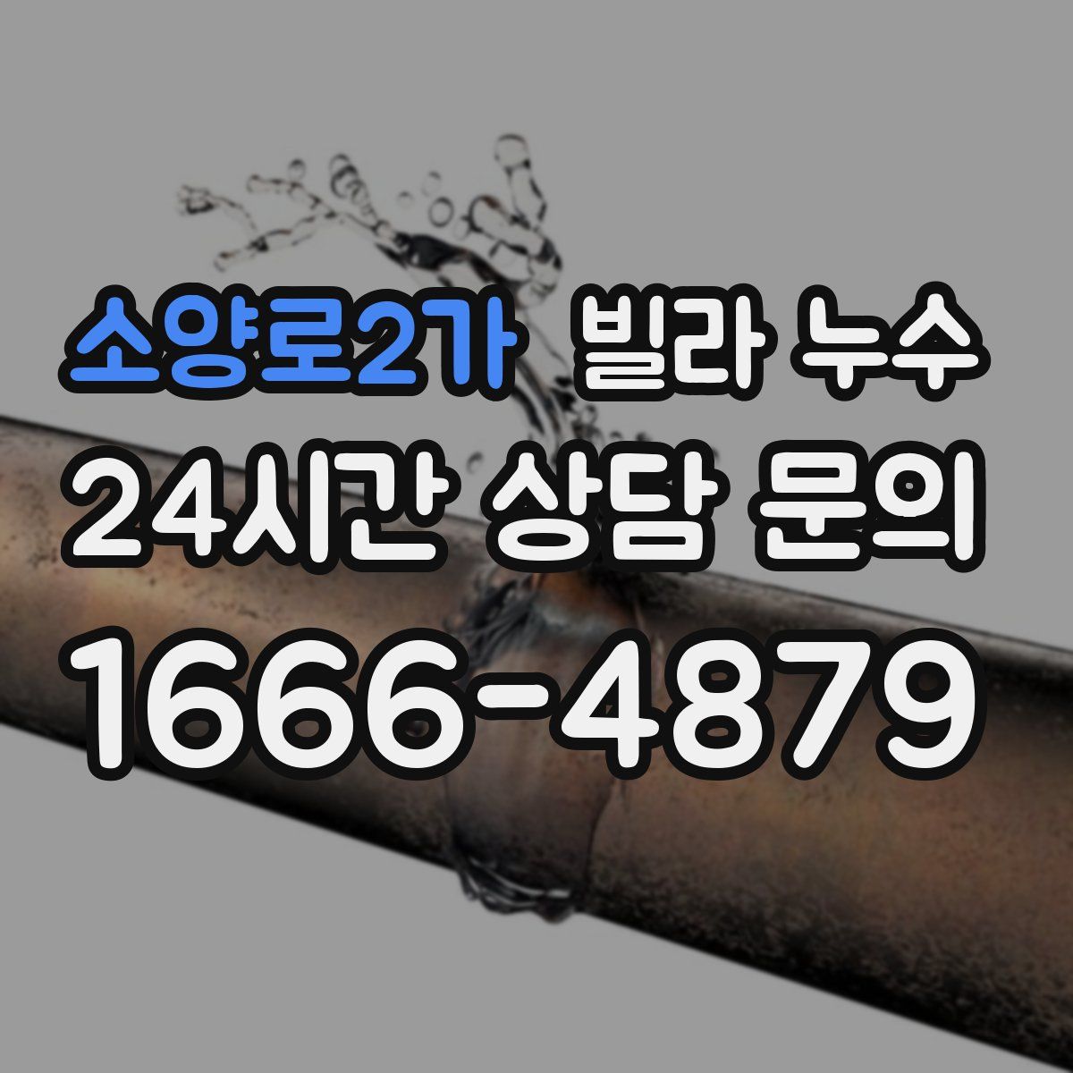 소양로2가 빌라 누수