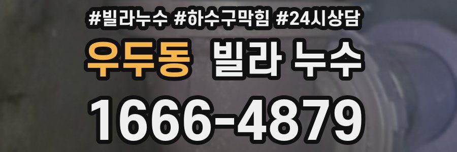 우두동 빌라 누수