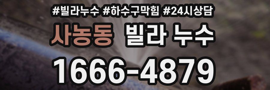 사농동 빌라 누수