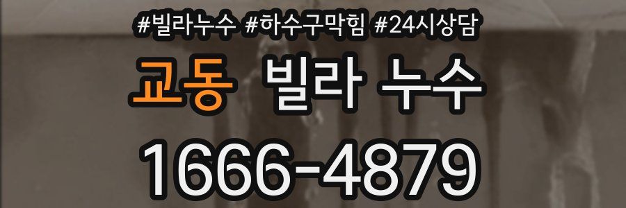 교동 빌라 누수