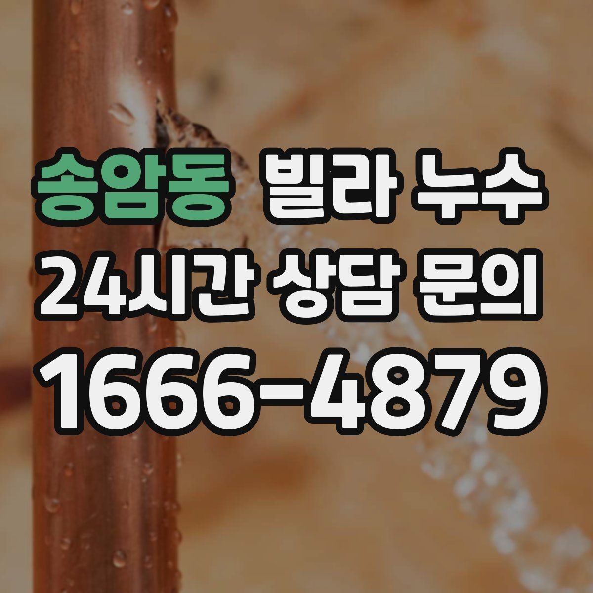 송암동 빌라 누수 곰팡이가 번지기 전에 점검해야 합니다
