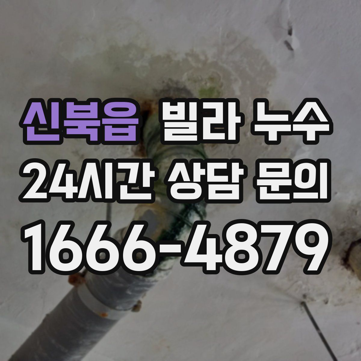 신북읍 빌라 누수