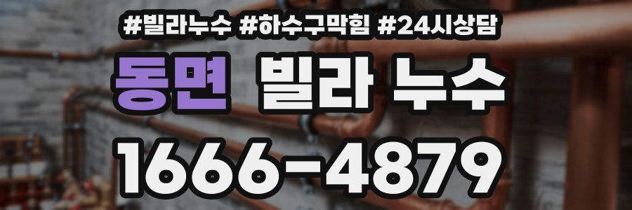 동면 빌라 누수