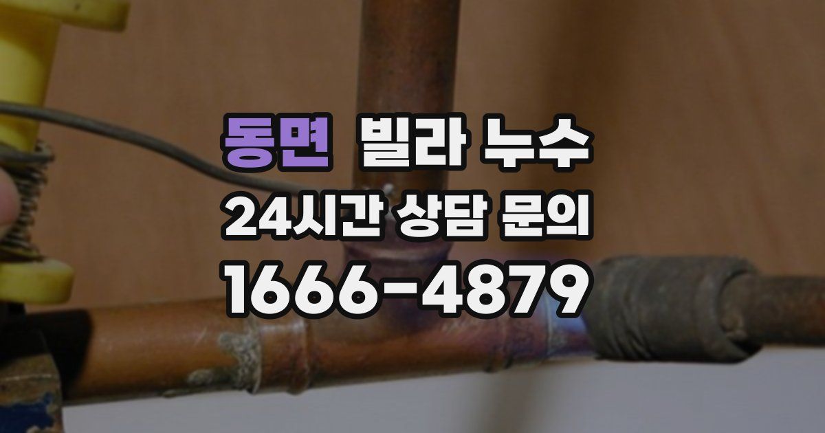 동면 빌라 누수