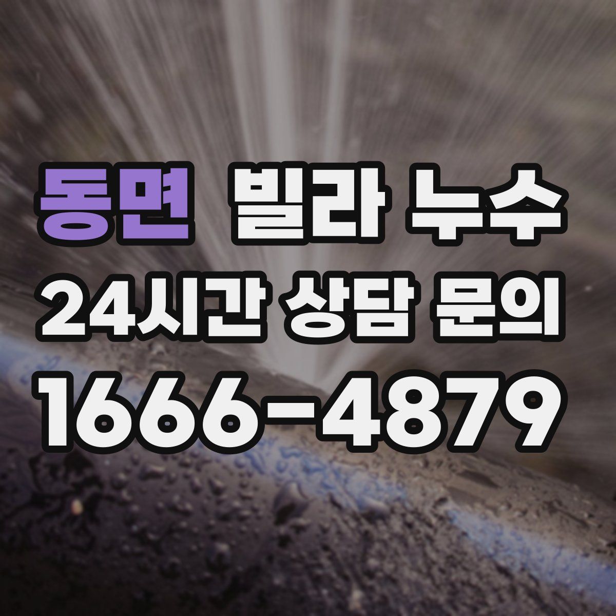 동면 빌라 누수