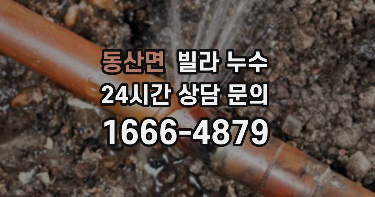 동산면 빌라 누수