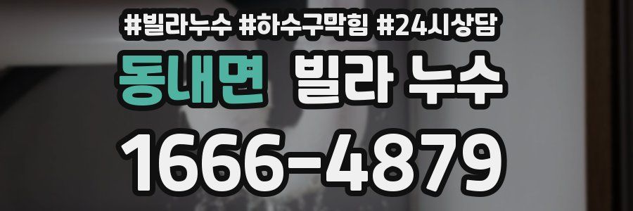 동내면 빌라 누수