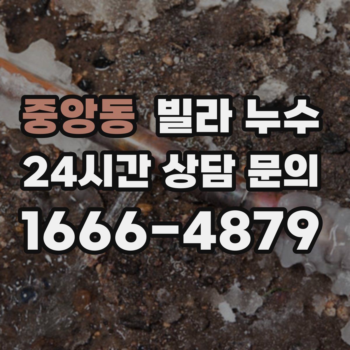 중앙동 빌라 누수 벽 모서리 검은 점이 늘면 누수도 의심