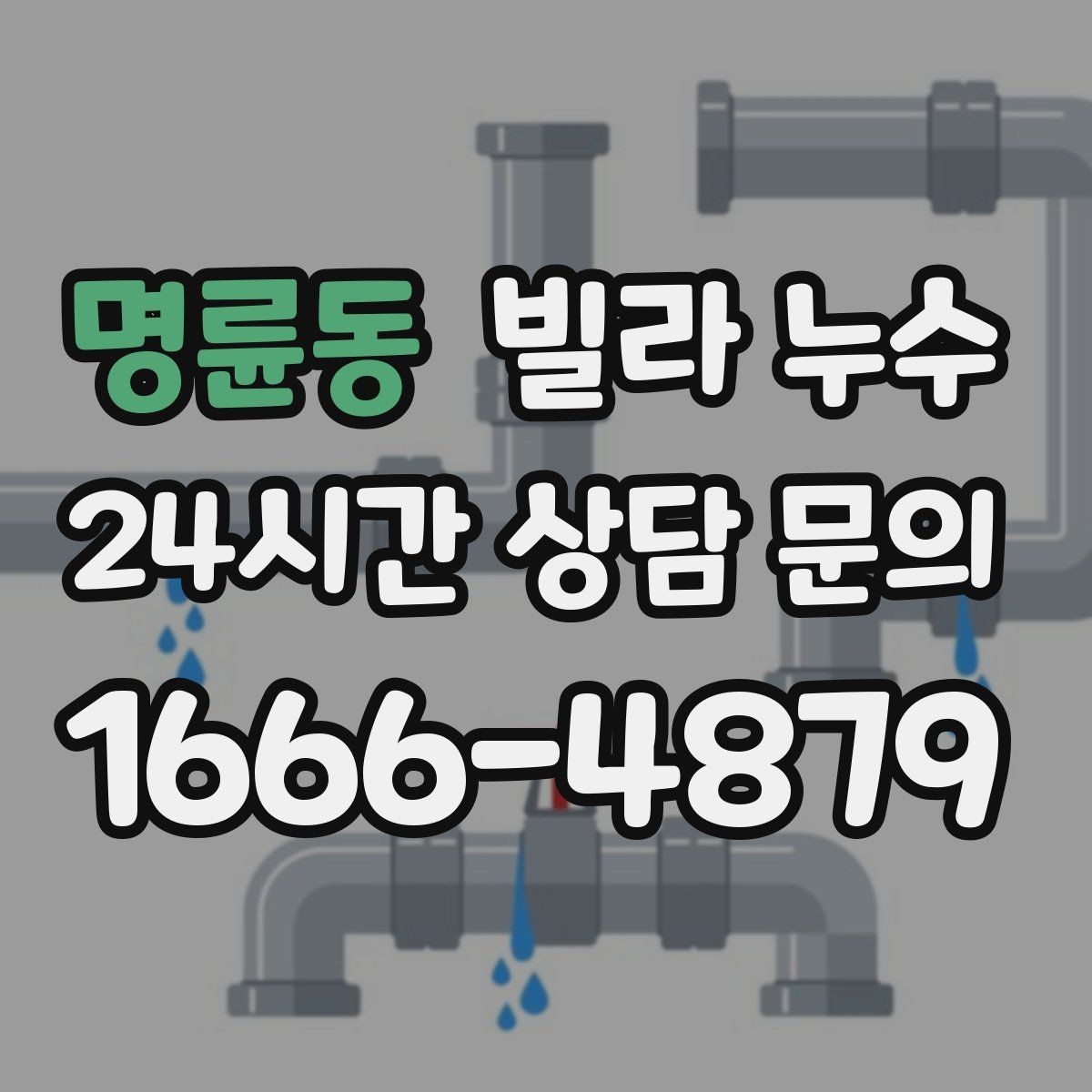 명륜동 빌라 누수 배수구 트랩 주변 물기와 악취가 반복될 때