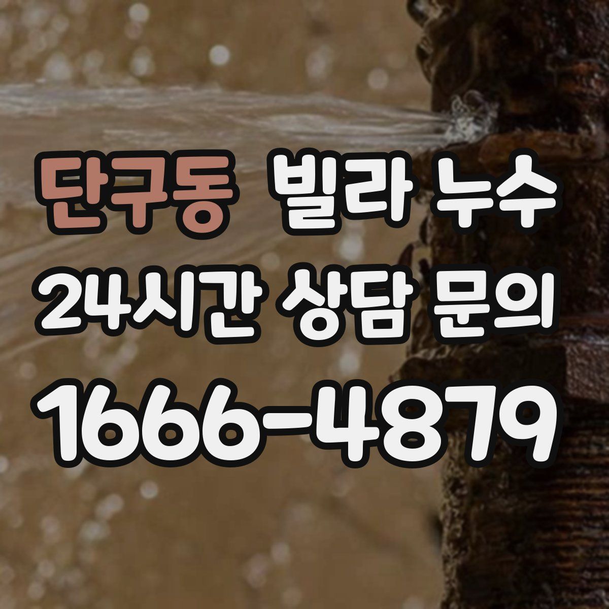 단구동 빌라 누수