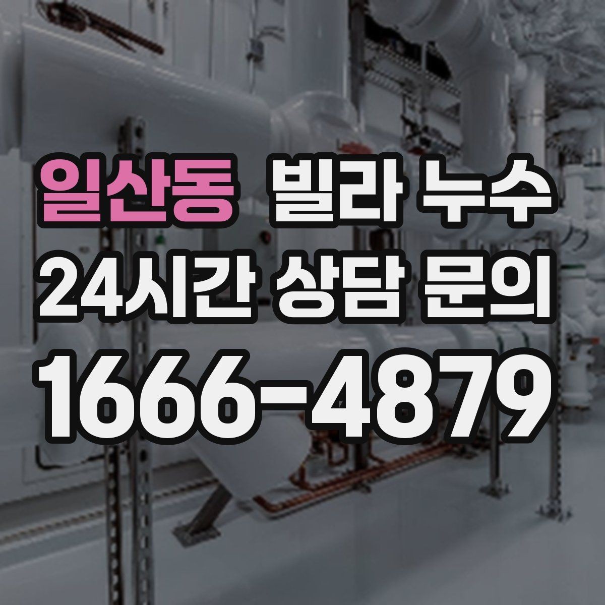 일산동 빌라 누수 빠른 점검으로 재발 걱정을 줄이세요