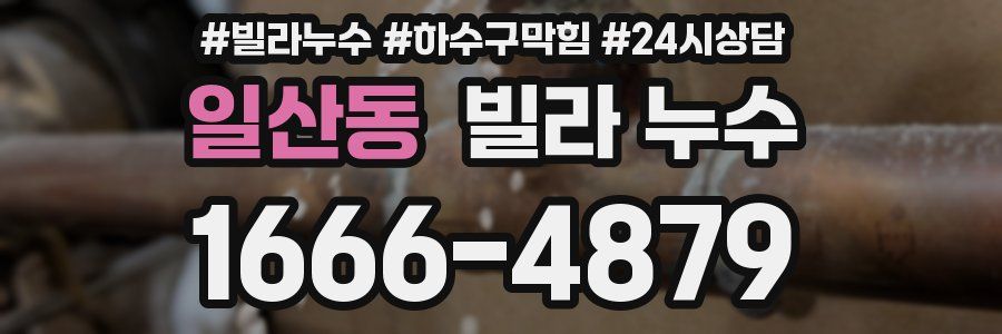 일산동 빌라 누수