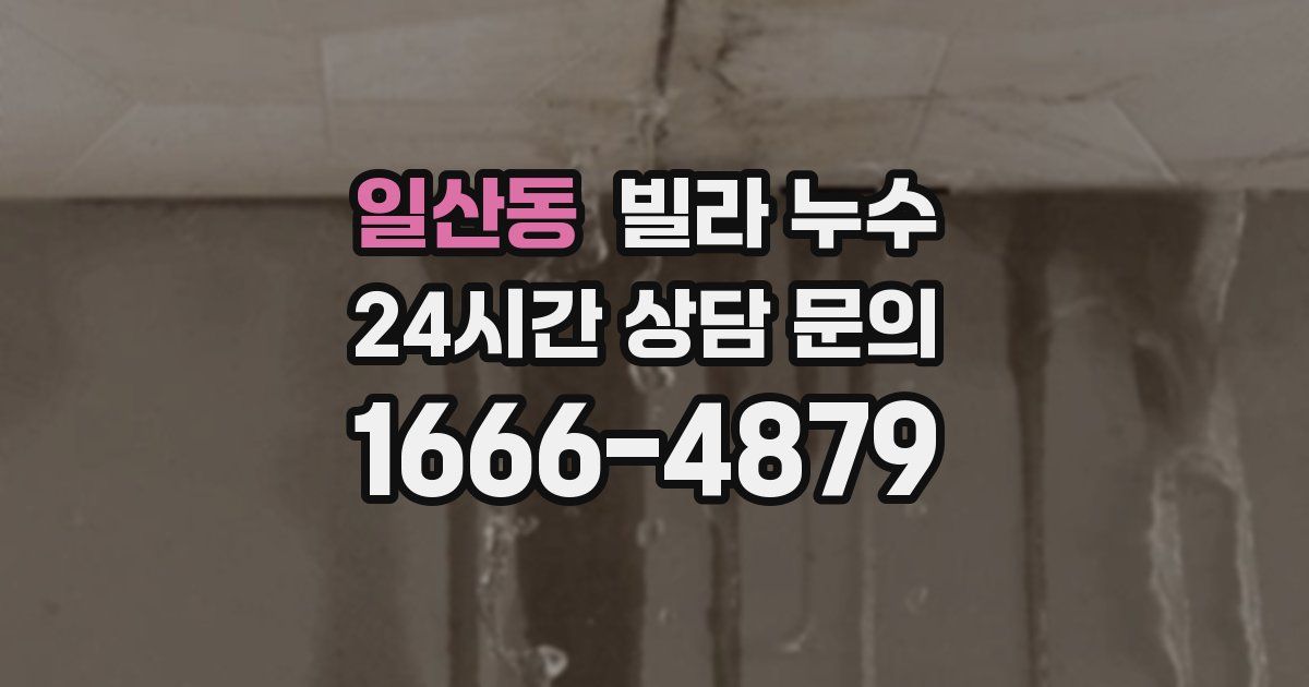 일산동 빌라 누수