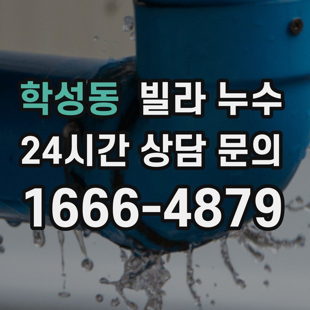 학성동 빌라 누수 아래층 천장에 물방울이 떨어진다고 연락 왔다면