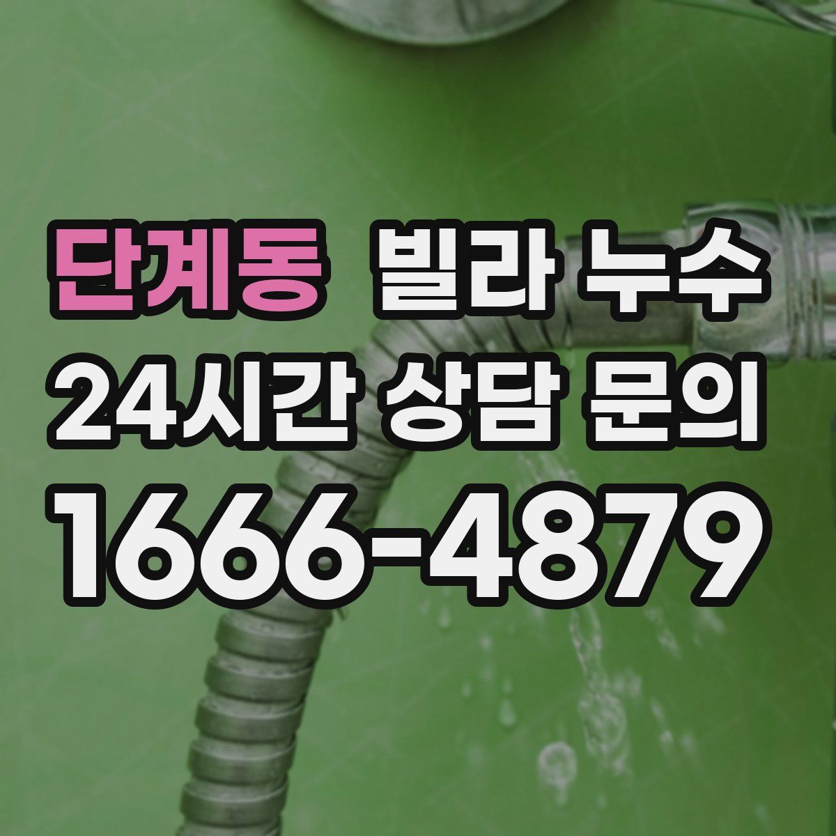 단계동 빌라 누수